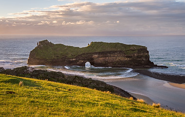 The Wild Coast