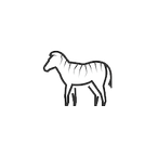 zebraicon.png