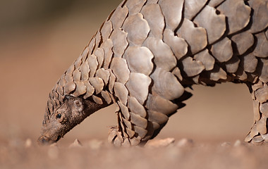 Conservation experiences