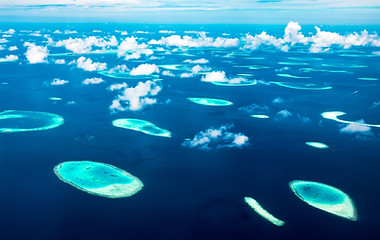 The Maldives