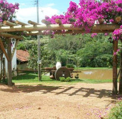 jardim casa mais planejado26