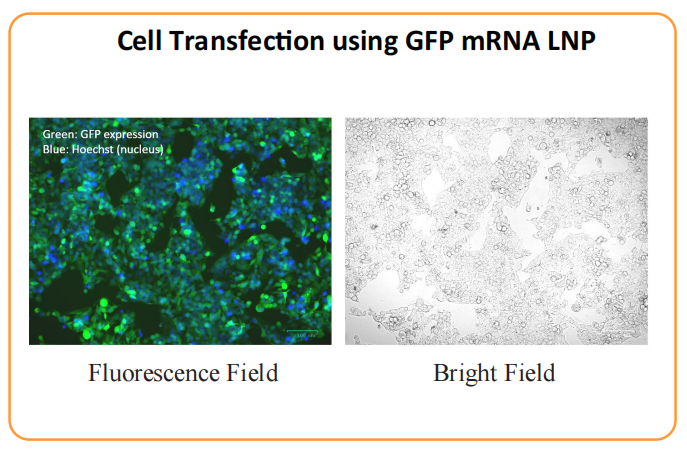 Thumbnail: NanoGenerator PRO Nanoparticle Synthesis System
