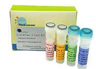 lipid nanoparticle, lipid nanoparticles, Lipid NP,  LNP, LNP preparation, LNP formulation, lipid nanoparticle synthesis, liposome, mRNA encapsulation,   precigenome, mRNA LNP, PLGA, drug delivery, precision medicine, nanogenerator, flex-s, flex-m, pro, max, precisionnanosystems, pni,  LNP T cell, LNP-mRNA formulation