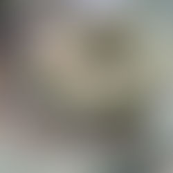 2022年7月8月教室案内ホワイトリース他