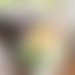 2025年10月4日5日銭函なでしこイベント参加