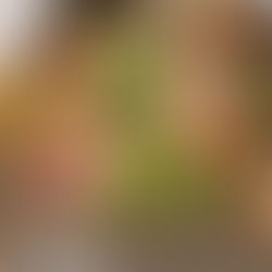 トゥルプリバルにご参加の皆様ありがとうございました