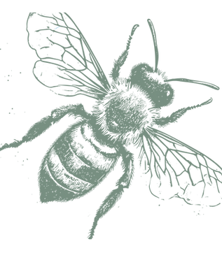 GREEN-BEE-NO-FLOWERS_edited_edited_edite