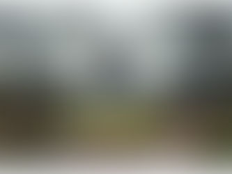 St David's Newsletter - June 2025