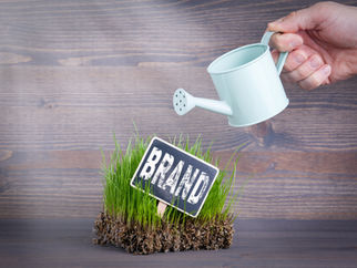 Three guidelines to build a strong and sustainable brand