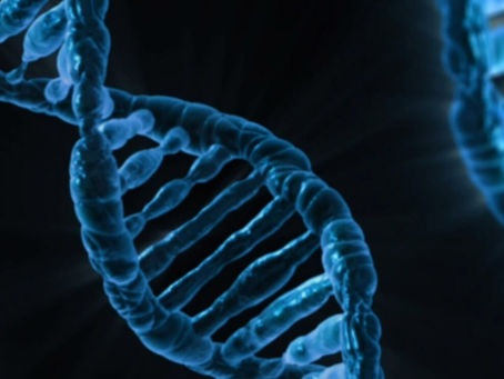 Testing Risk, Managing Harm: Ethical Challenges of Population Genomic Screening for BRCA Mutations in Ashkenazi Jewish Women 
