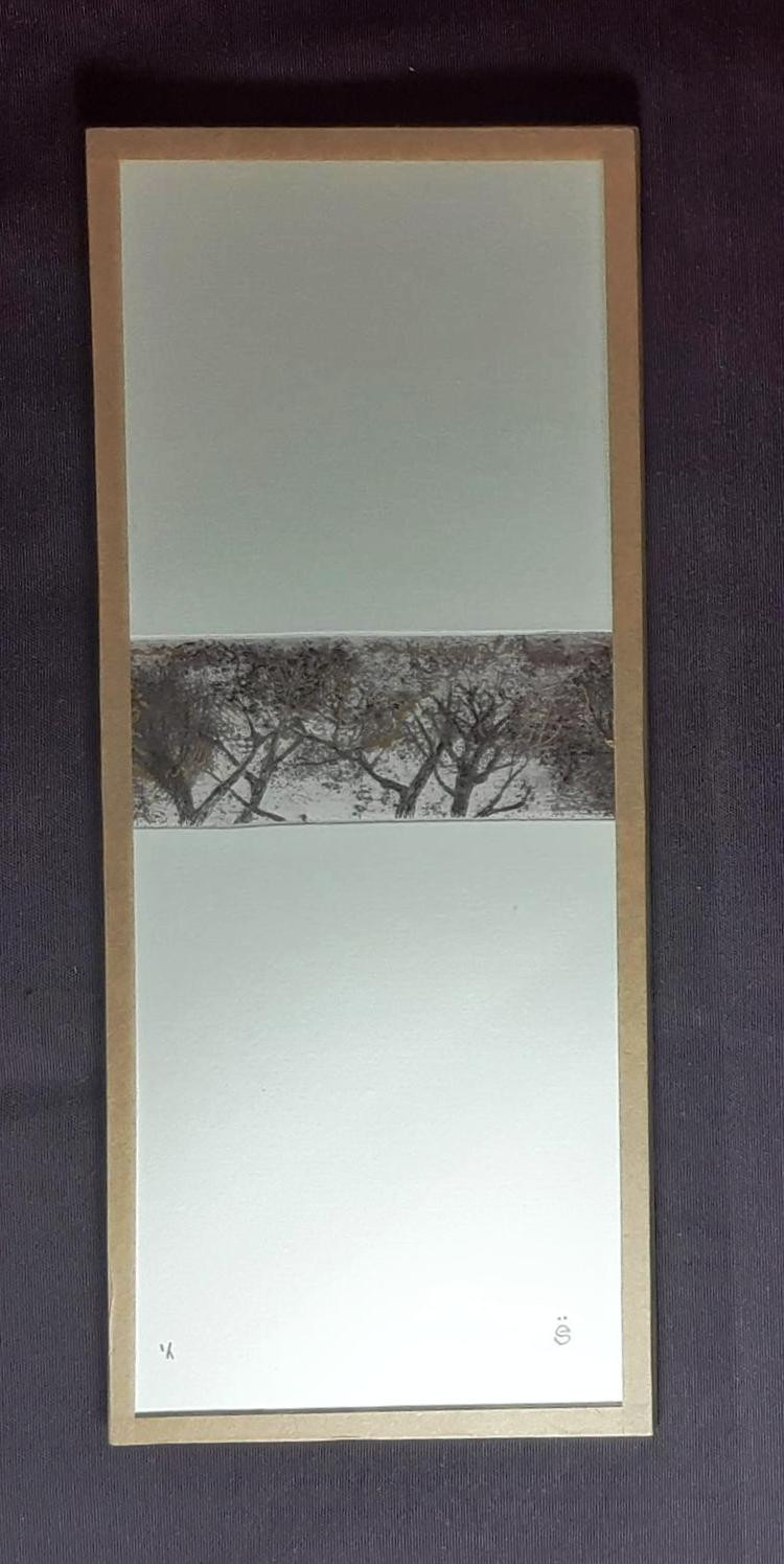 Série "Arbre" - Et si c'était là ?
