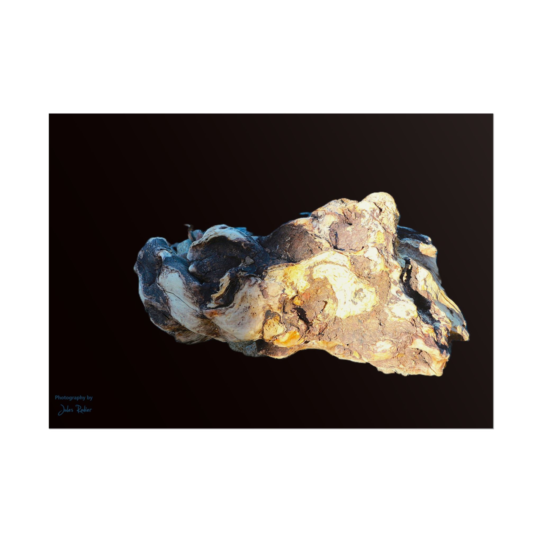 Driftwood Knob | Rolled Poster, A Moment Taken by Jules Rodier