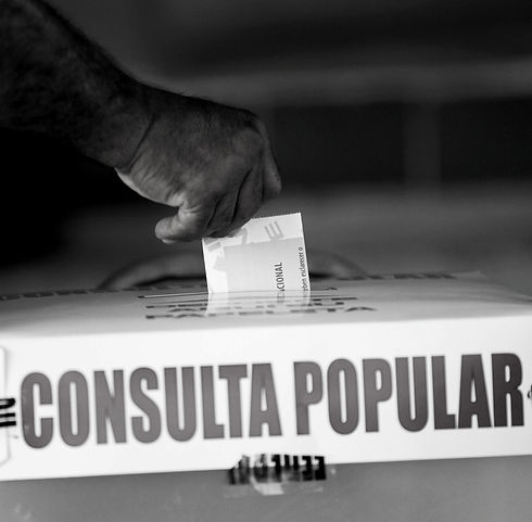 consulta popular_edited_edited.jpg