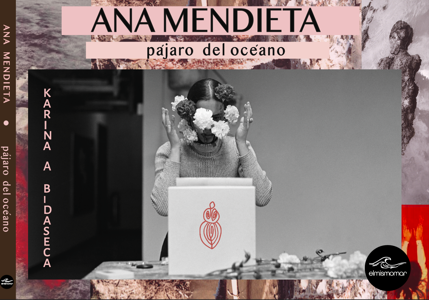 Ana Mendieta Pájarodelocéano