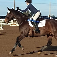 _haven_eventing is my first featured rider on _camillepowelleventing _ Her birthday was ju