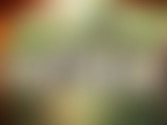 Das neue SCOTT Patron eRIDE im ersten Test – Geht so Integration?