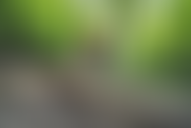 MTB-Tipps für schlechtes Wetter - fünf kurze Regenhosen im Test