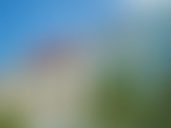 Moderna patentierte Key COVID Spike Protein Sequence im Jahr 2016