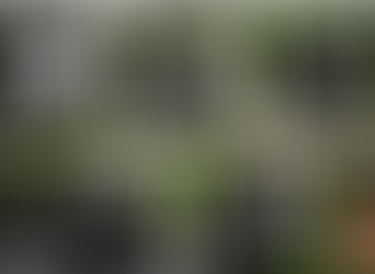 5 Mountainbike-Lampen im Vergleichstest