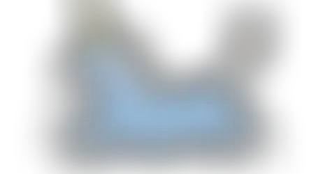 Selbstbesinnung in der institutionalisierten Wissenschaft