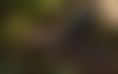 2022 Giant Trace X ist ein 27,5 Trailbike