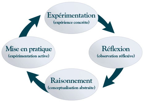 Cycle MBSR