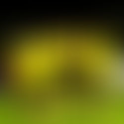 IN PICTURES: ROVERS U18 1 - 1 Little Oakley 