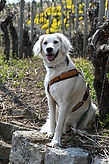 DSC_8313.JPG