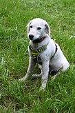 DSC_1273.JPG