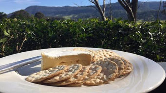 HOMEMADE CRACKERS