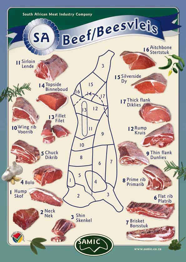 beef cuts.jpg