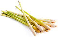 lemongrass5.jpg