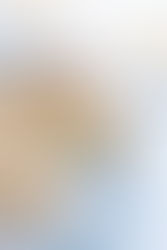 Marokkaanse melktert