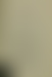 CREAMED CHICKEN HOT DISH