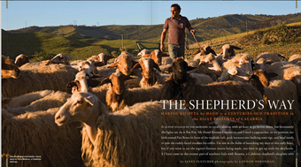 The Shepherd's Way - Making Ricotta by Hand