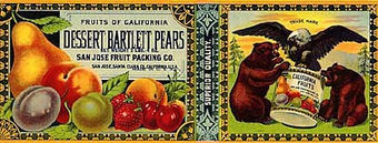 APPLE, PEAR AND BLUEBERRY SALAD