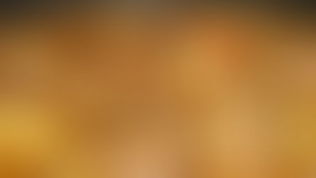 Beef Tomato Bredie (Stew) Recipe