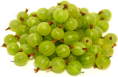 Gooseberries.png