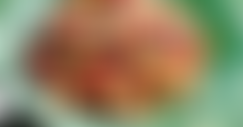 Tomato and courgette risotto