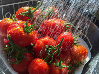 PASTA TOMATO BASIL SALAD
