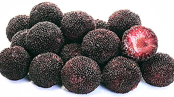 Waxberries