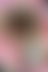 Peasant’s pretzel brownies