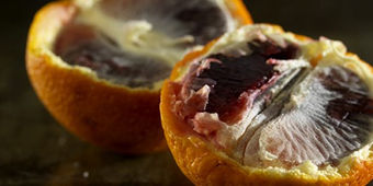 Blood orange