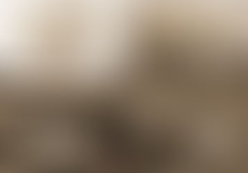 THOLA - Sybie Kleynhans