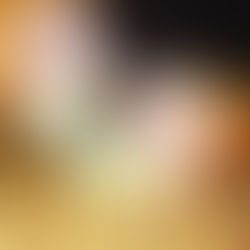 FRIED CHICKEN CORDON BLEU