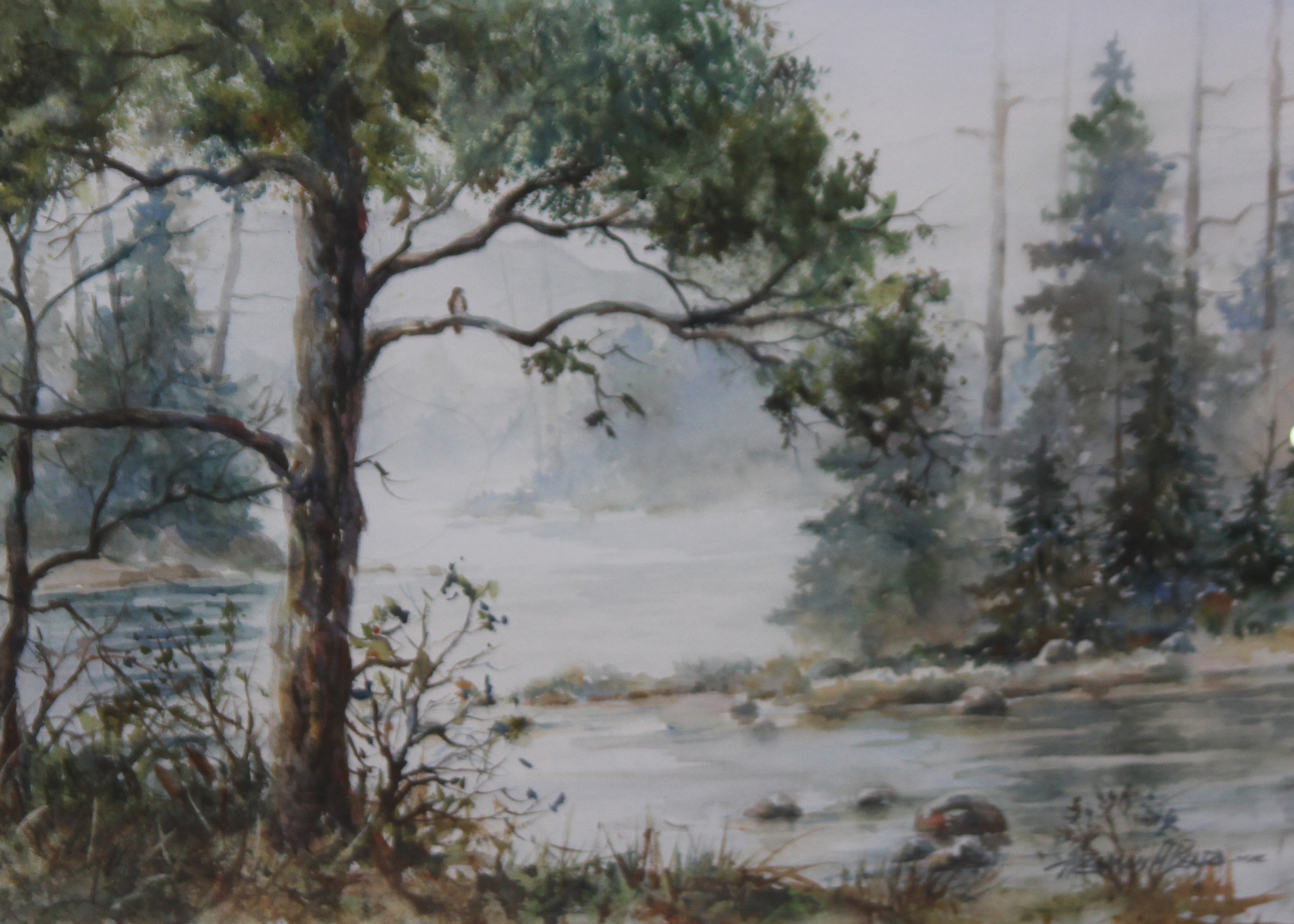 Life on The River