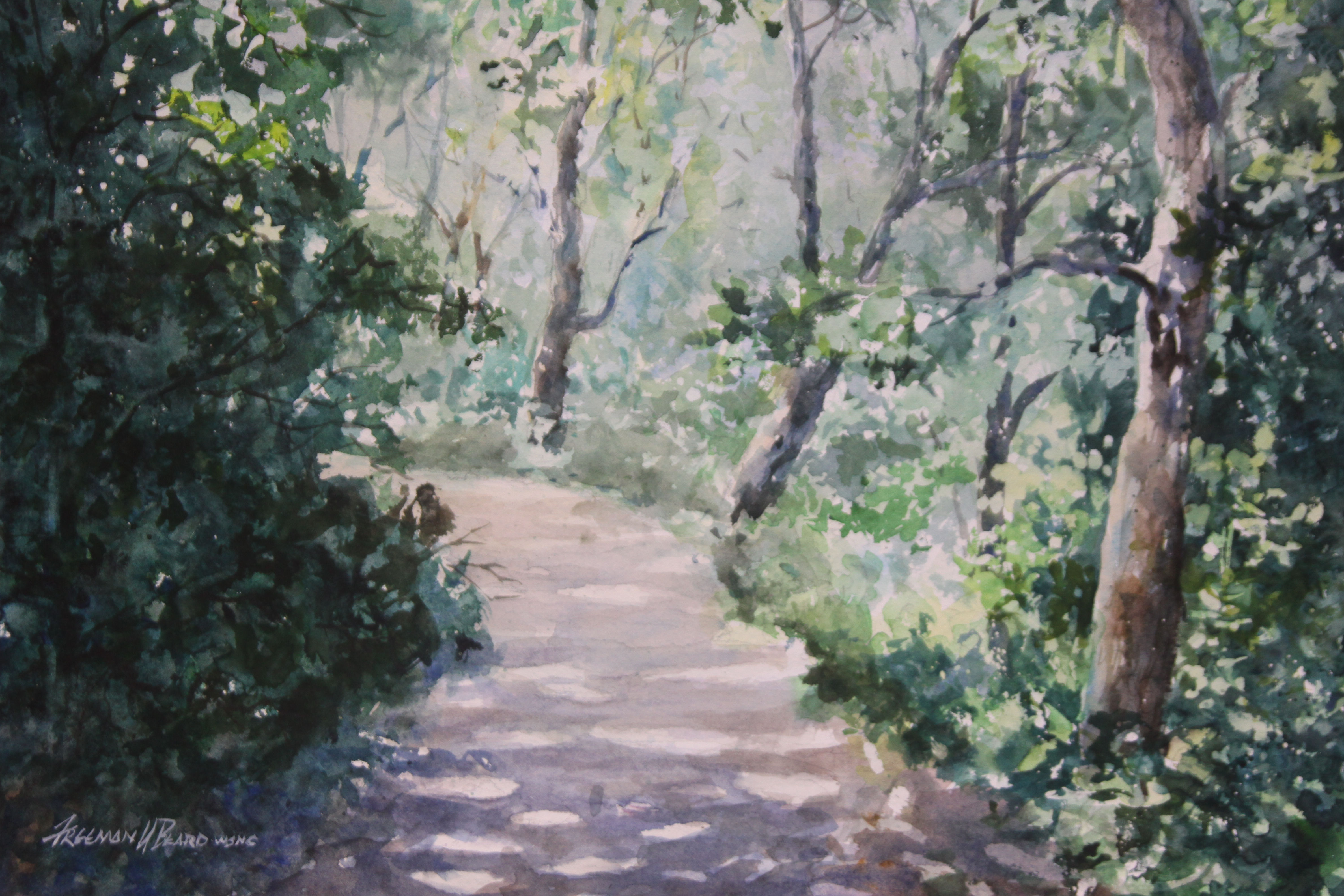 Shady Path