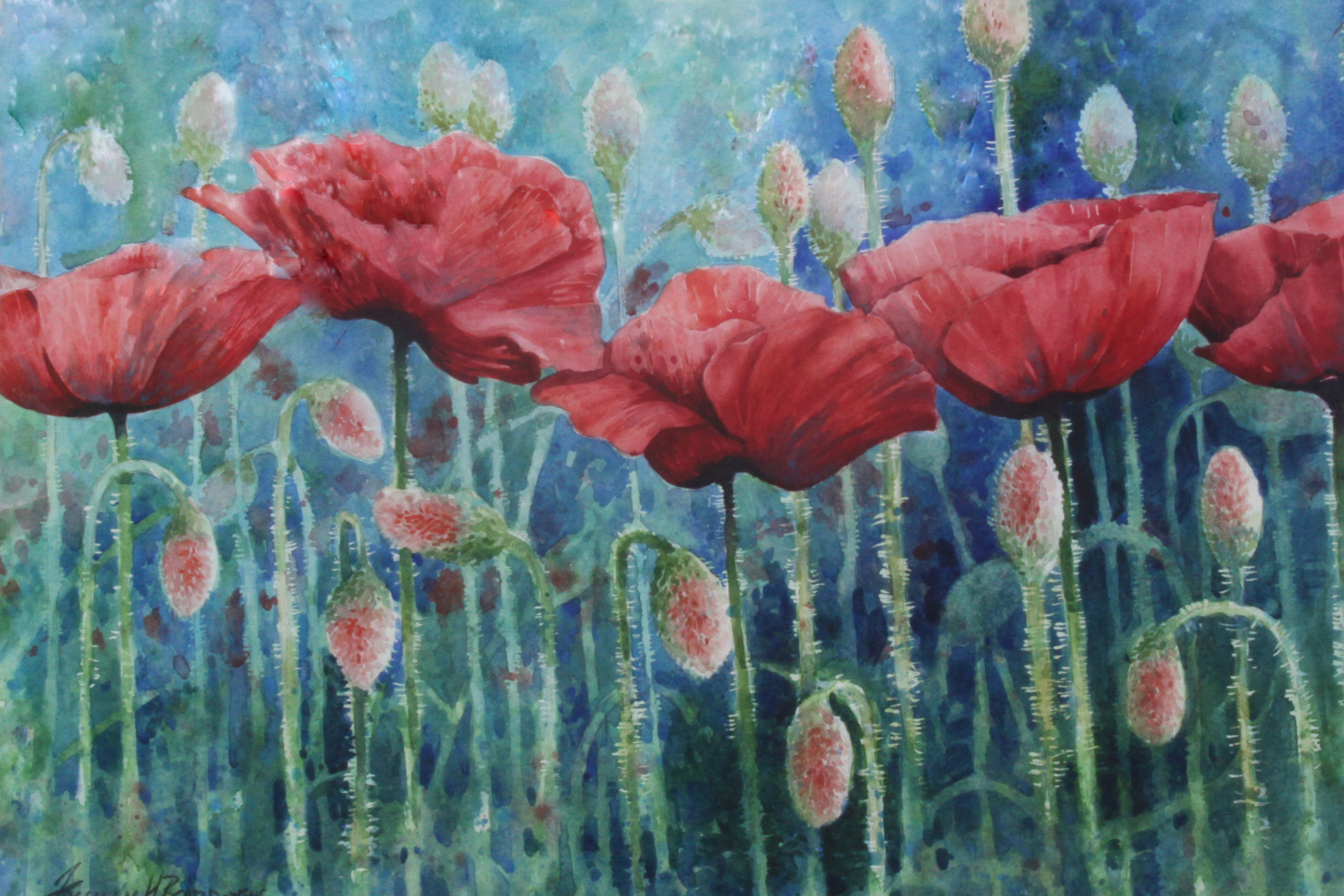 Poppies