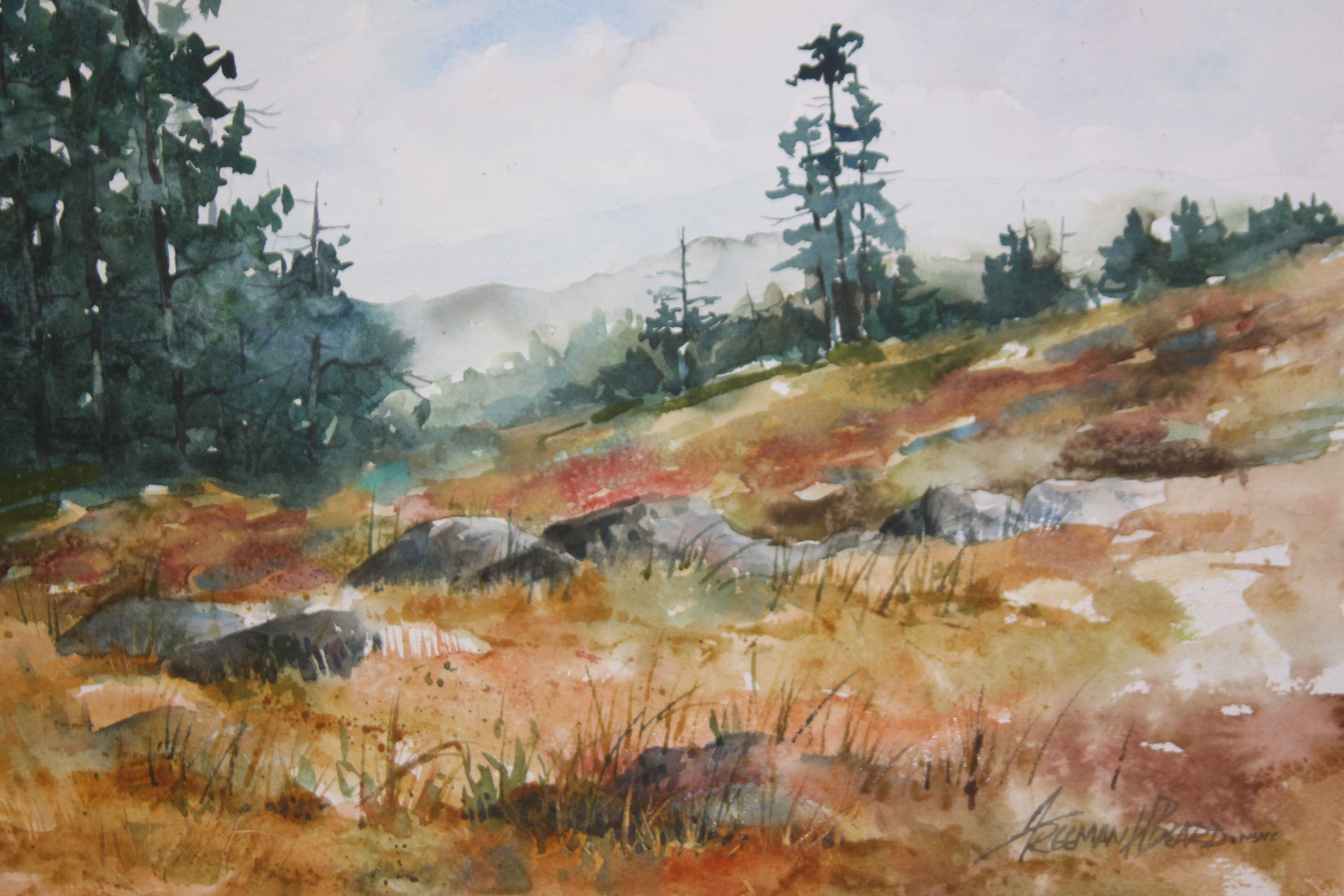 The Meadow