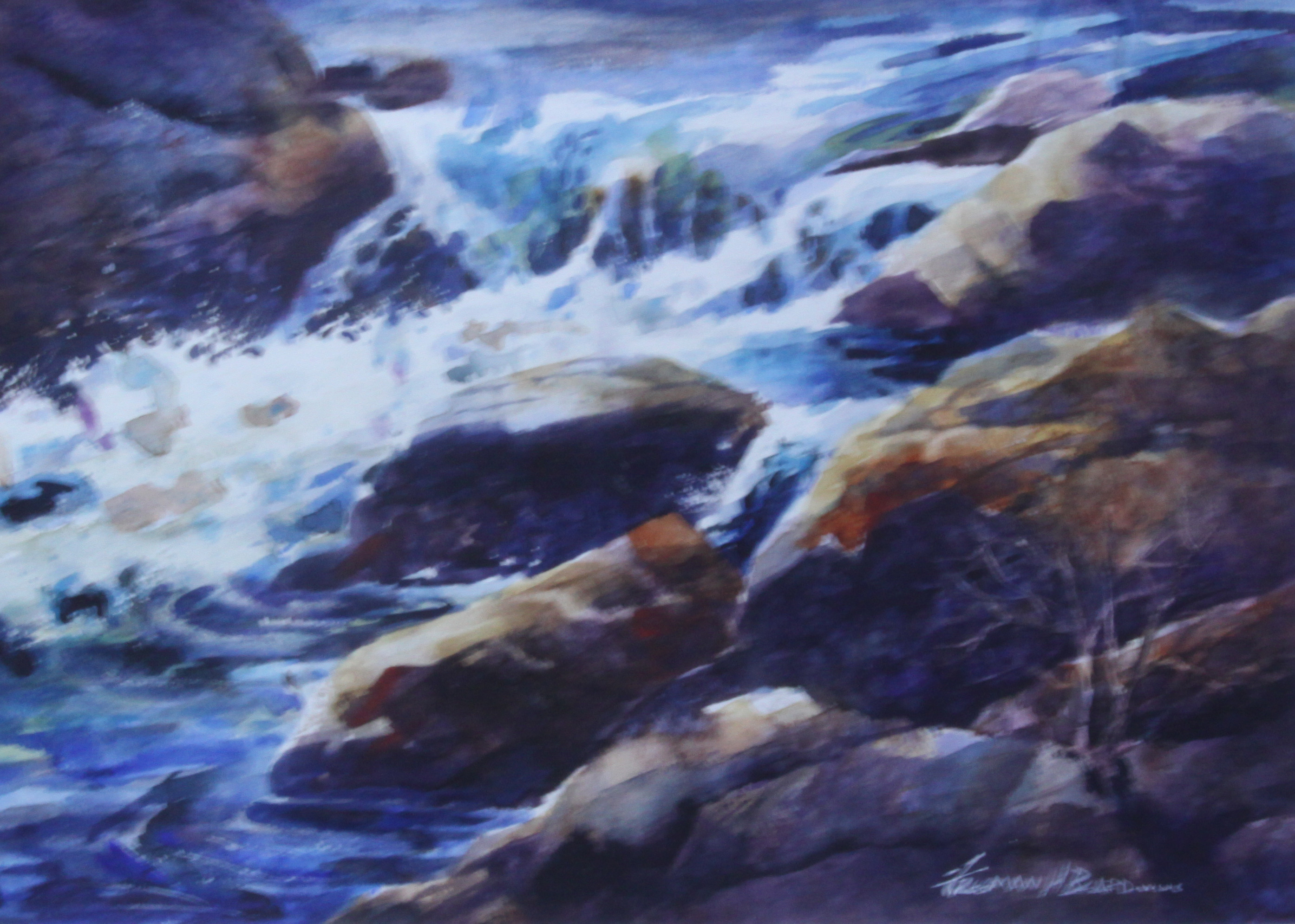 Rapids